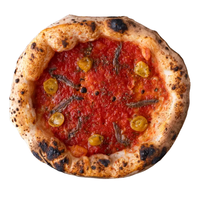 MARINARA 1.0